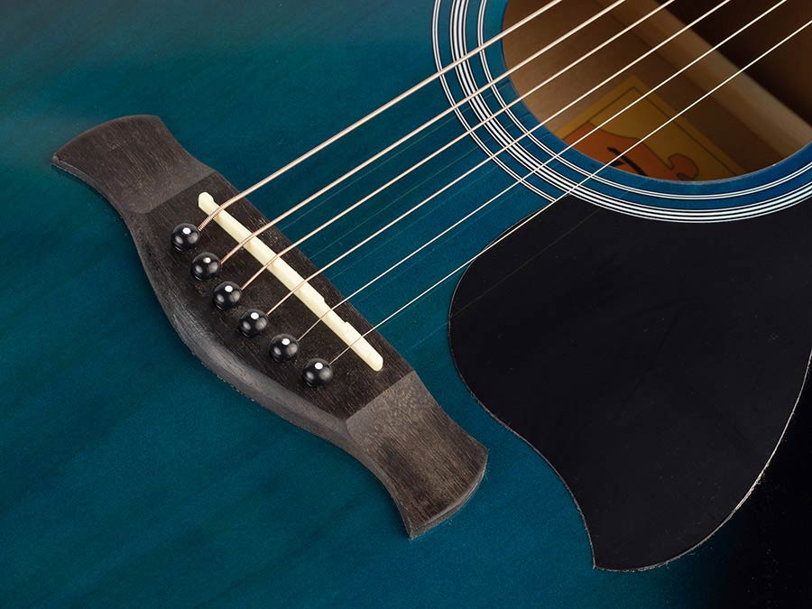 Richwood Acoustic Guitar RA-12-BUS Blue