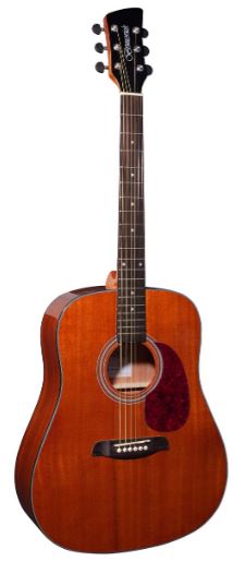 Brunswick Dreadnought Mahog BD200M