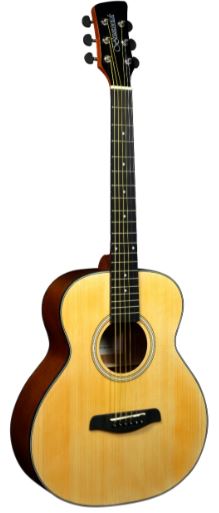 Brunswick Super Mini Guitar BSM100