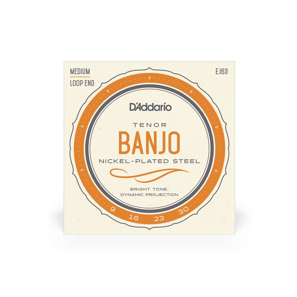 D'Addario Tenor Banjo Loop End Set 9-30 EJ63