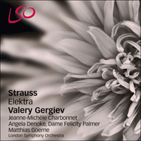 Strauss Elektra LSO Gergiev 2CD HM