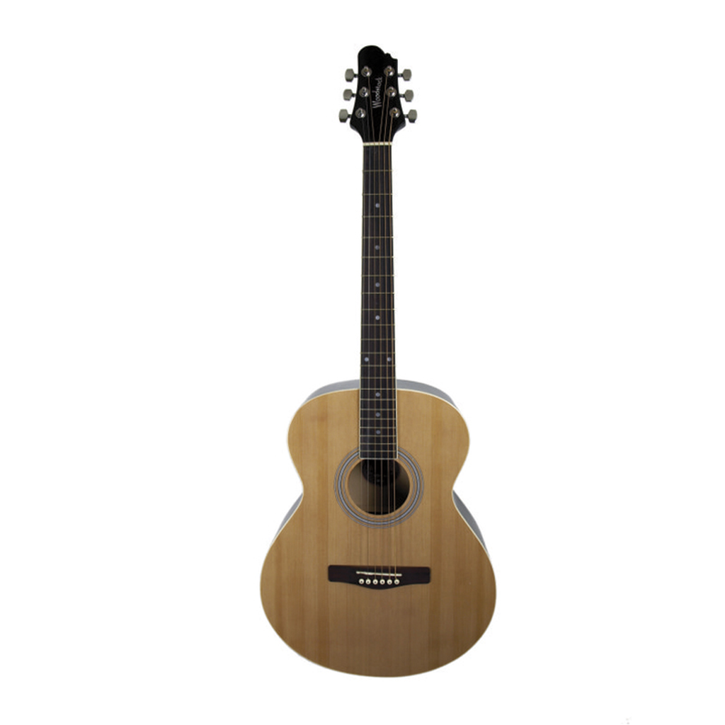 Woodstock Folk Gtr LH WHW40201
