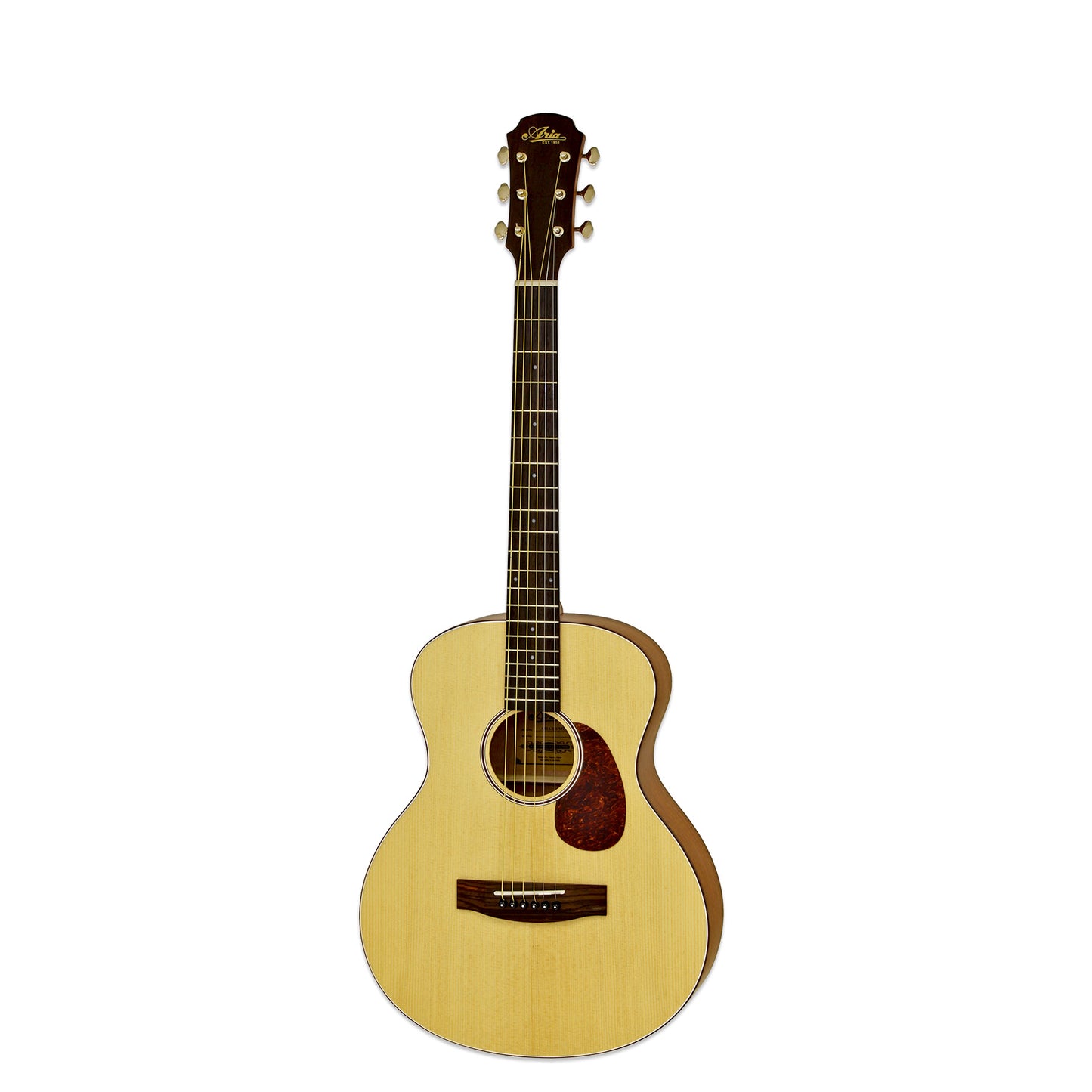 Aria Acoustic Gtr Lil Matte Nat 151MTN