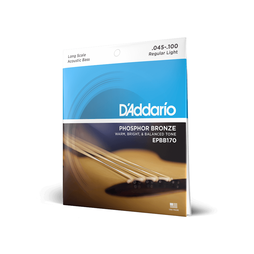 D'Addario Acoustic Bass Regular Light 45-100