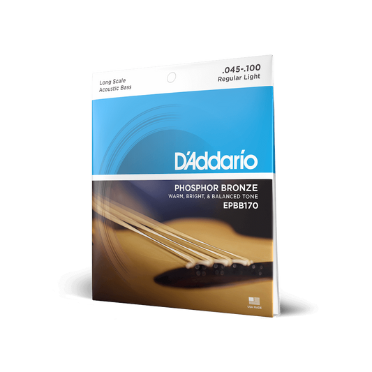 D'Addario Acoustic Bass Reg Light 45-100