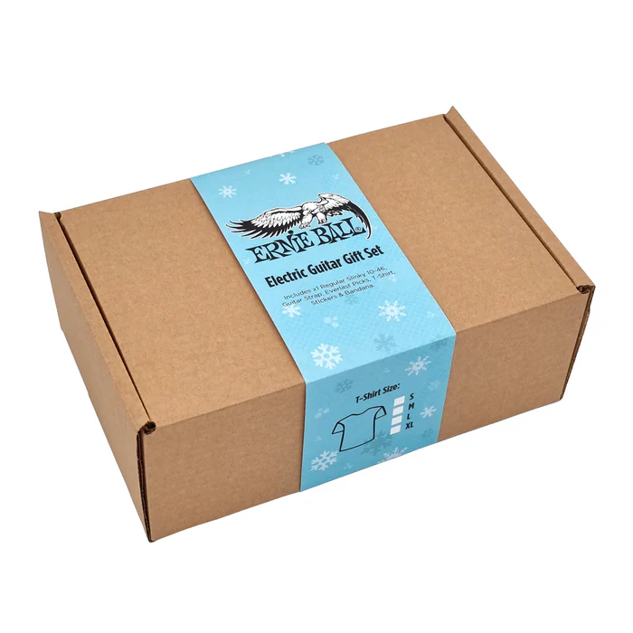 Ernie Ball Electric Guitar Gift Set