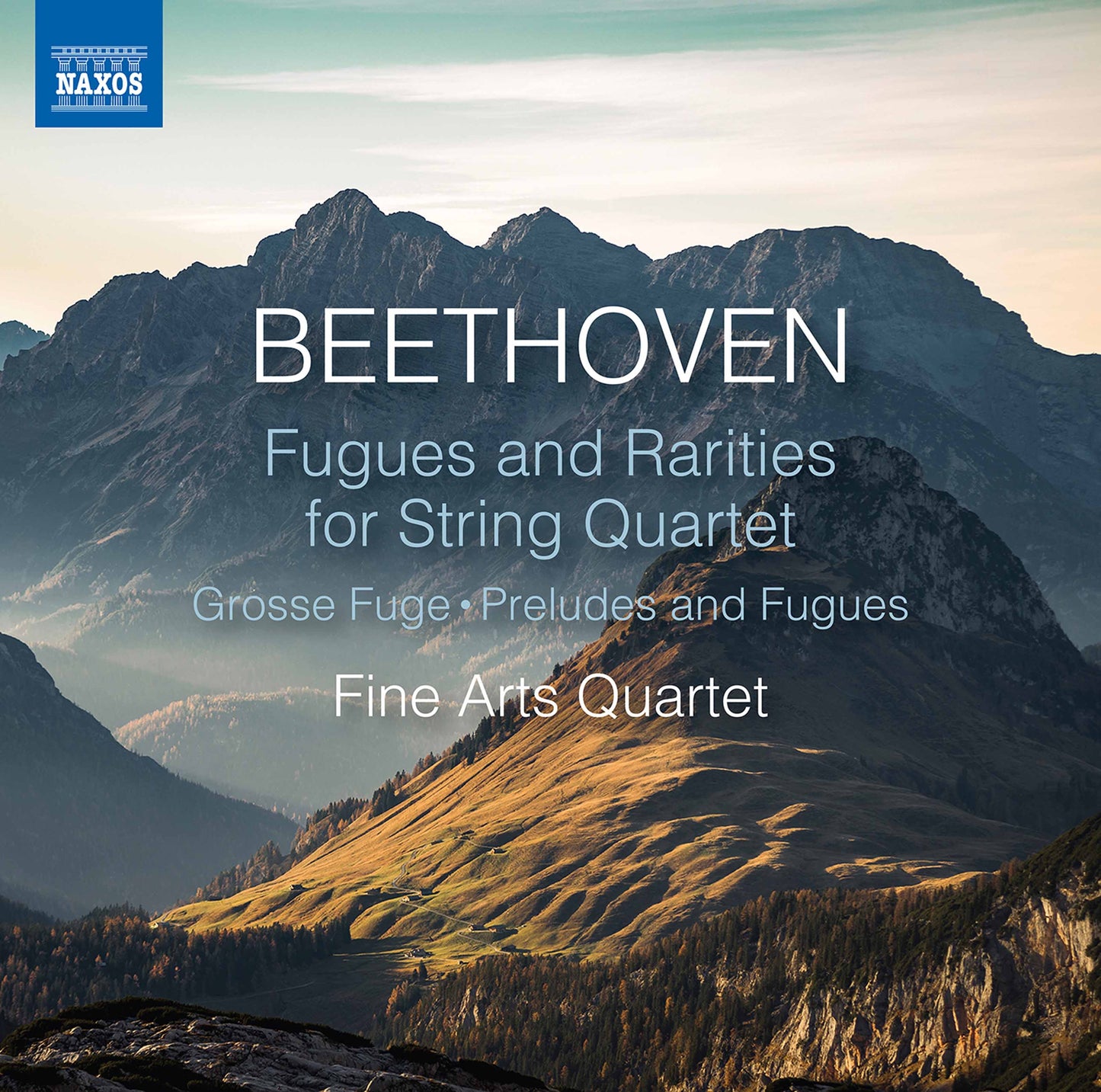 Beethoven Quartet Rarities CD NAX