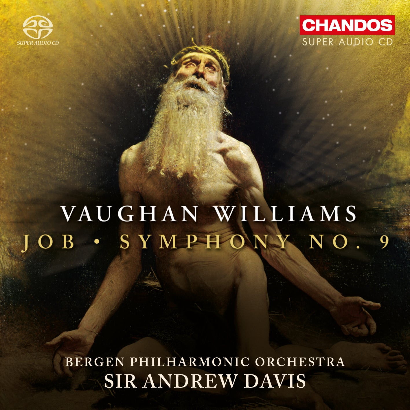 V-W Job/Symphony No.9 Bergen Phil CD CH