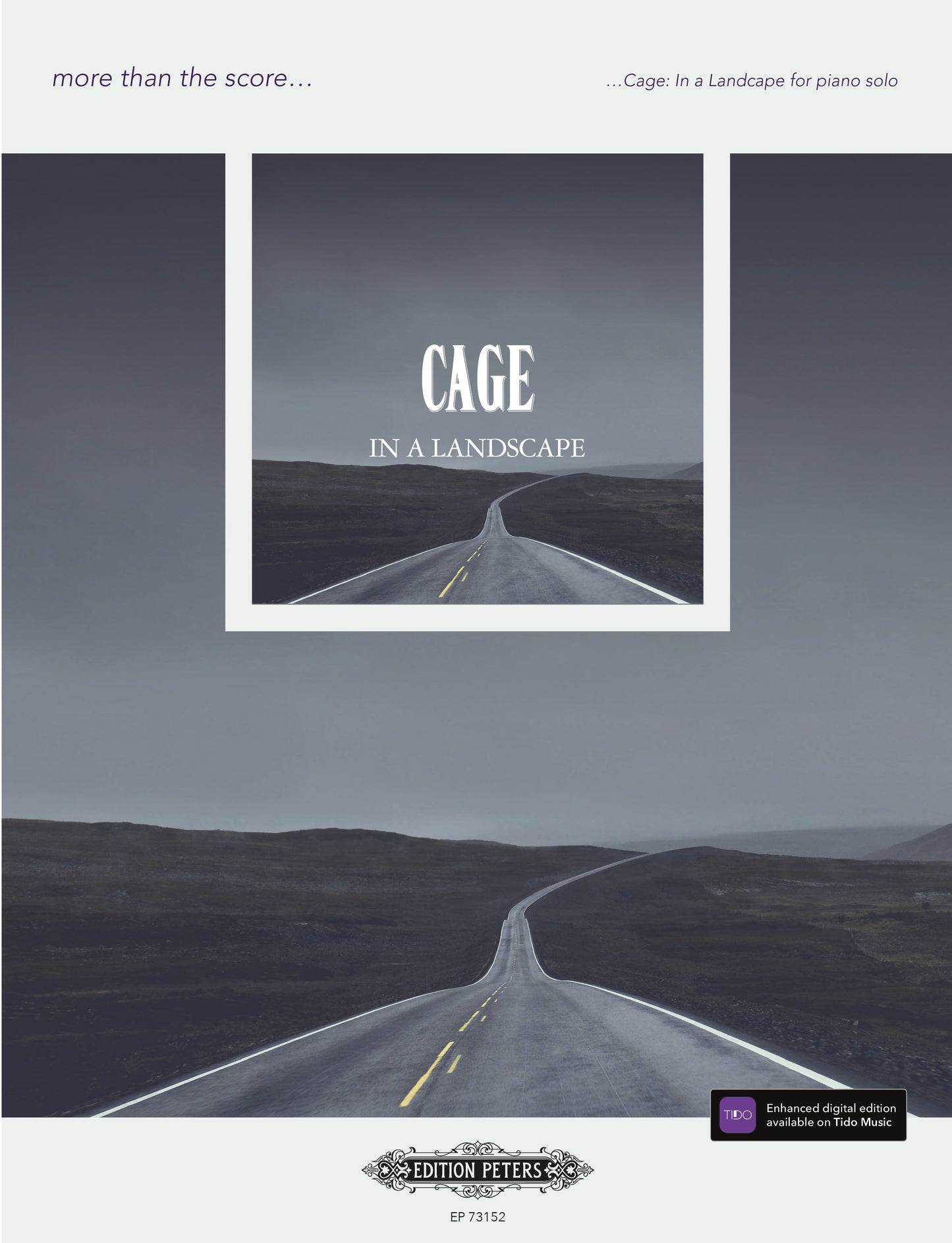 Cage in a Landscape Pno MTTS PET