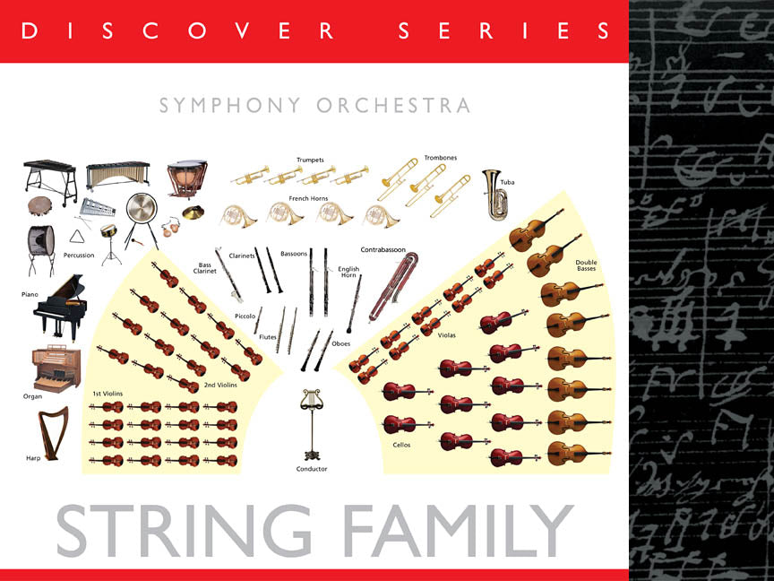 Discover the Instruments of the Orchest