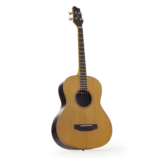 Ozark Acoustic Tenor Guitar 3372