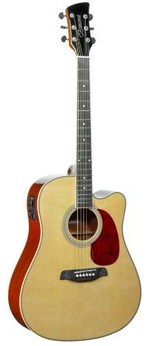 Brunswick Electro-Ac Cutaway Dreadnought