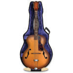 Card 3D archtop guitar MG