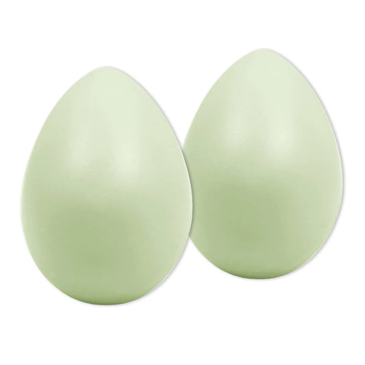 Egg Shaker glow in the dark 1st Note Tro