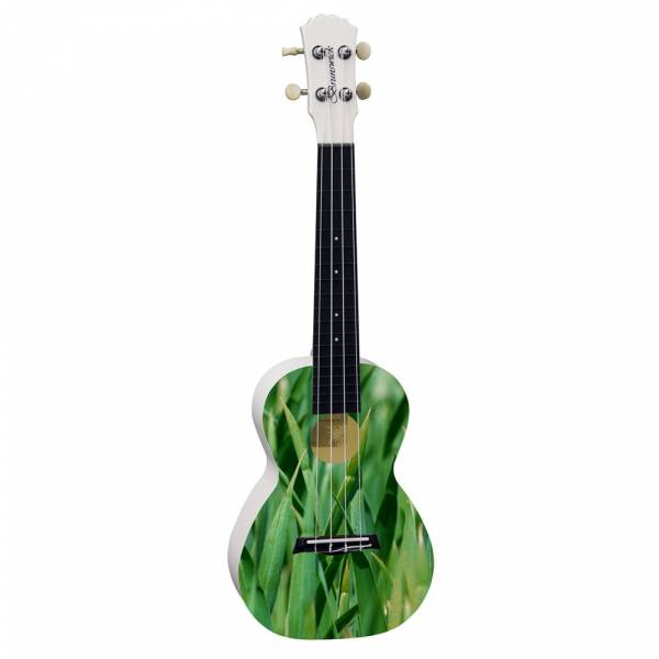 Ukulele Brunswick Conc ABS Meadow