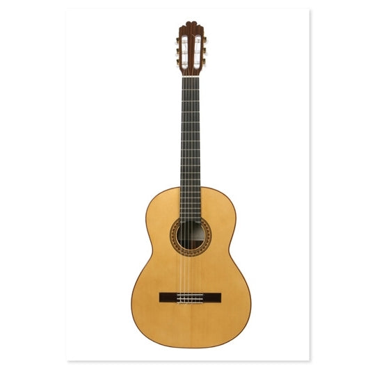 Postcard Guitar C85 VW*