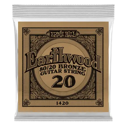 Earthwood 20 80/20 Bronze Gtr String