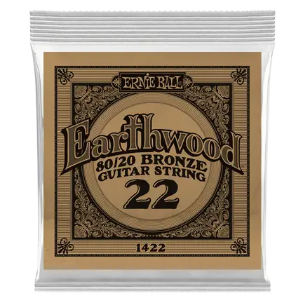 Earthwood 22 80/20 Bronze Gtr String