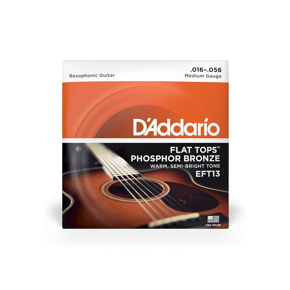 D'Addario EFT13 Resophonic Flat Top PB Med 1