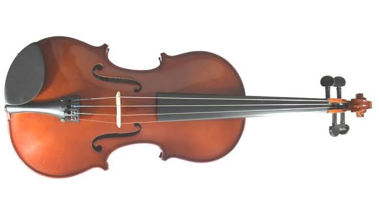 Primavera 100 Viola O/F 13.0 AF009