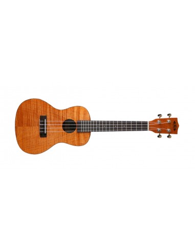 Ukulele Kala Exotic Mahogany Concert KA