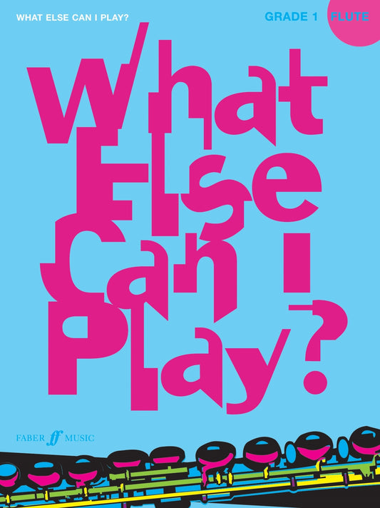 What Else Can I Play Flt Gd 1 FM