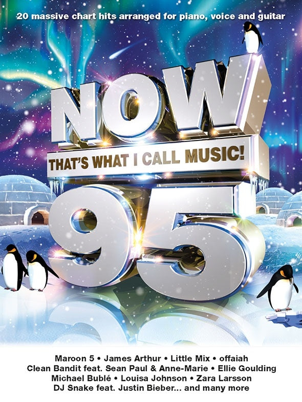 Now Thats What I Call Music 95 PVG