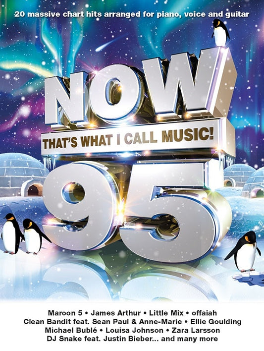 Now Thats What I Call Music 95 PVG