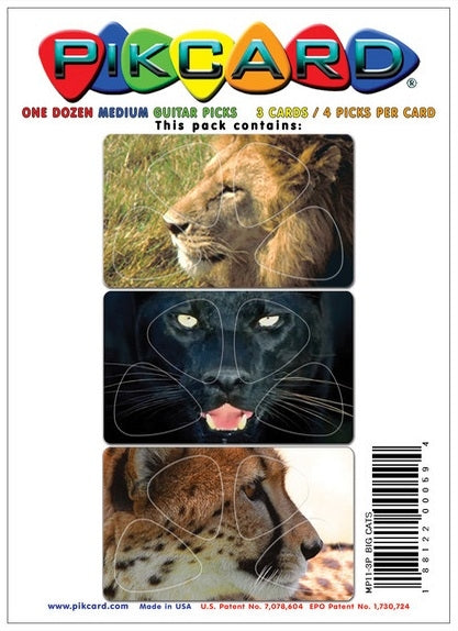 Pikcard Big Cats 12 Picks MS