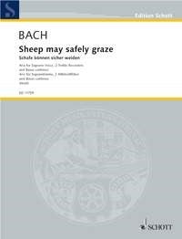 Bach Sheep may safely graze Aria Sop+2